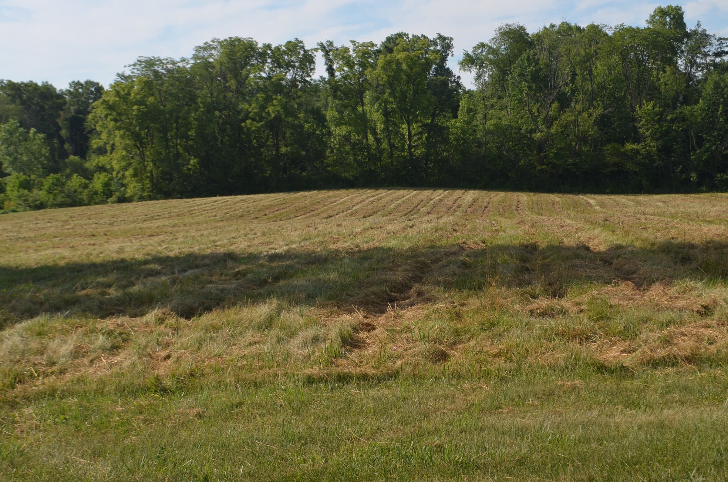 Property photo 11 - REAL ESTATE AUCTION - 26+/- ACRES IN 3 TRACTS IN SOUTHWEST ALLEN COUNTY, INDIANA
